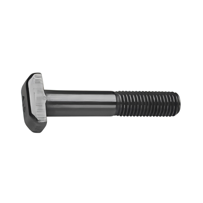 DIN 261 10*50 Slotted Bolt T Type, 4.6 Steel 